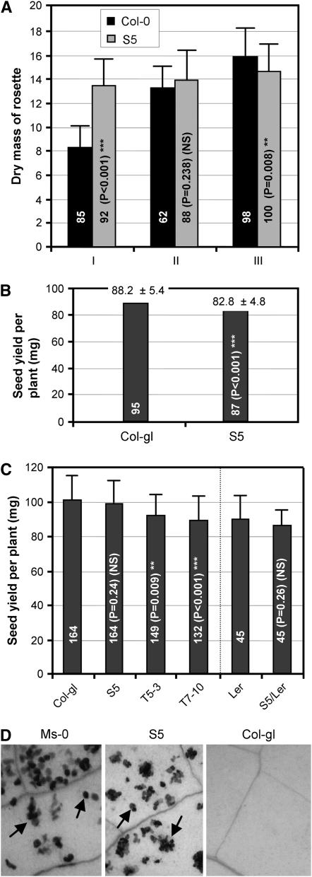 Figure 7.—