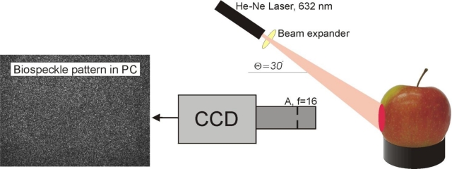 Figure 1.