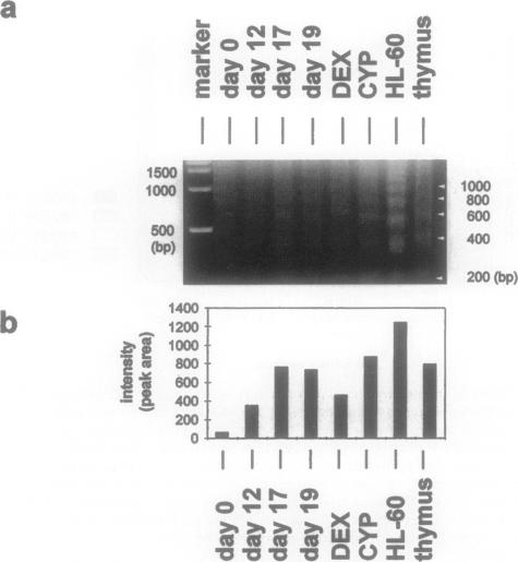 Figure 5. a