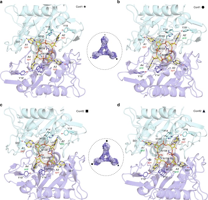 Fig. 3