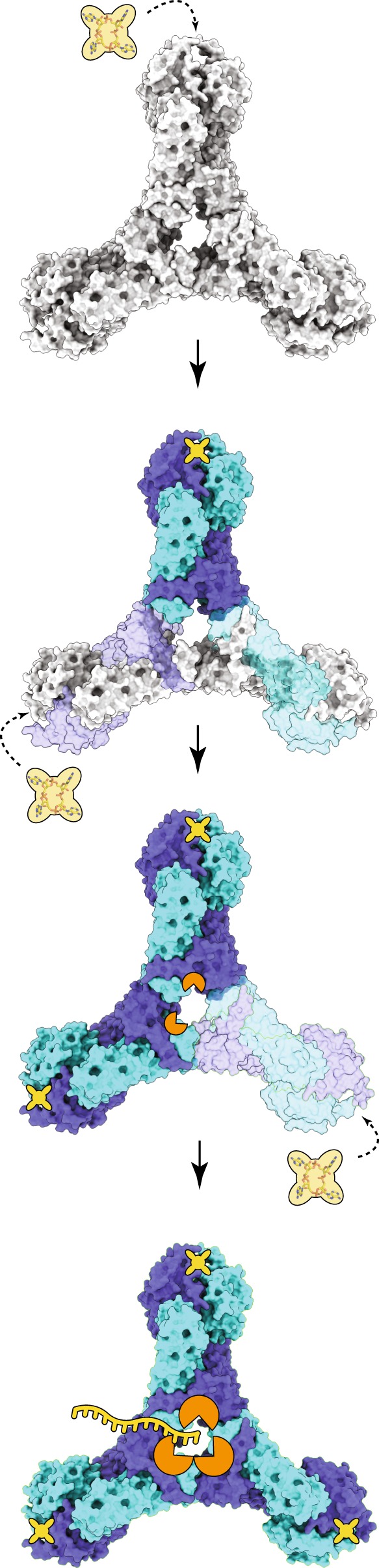 Fig. 7