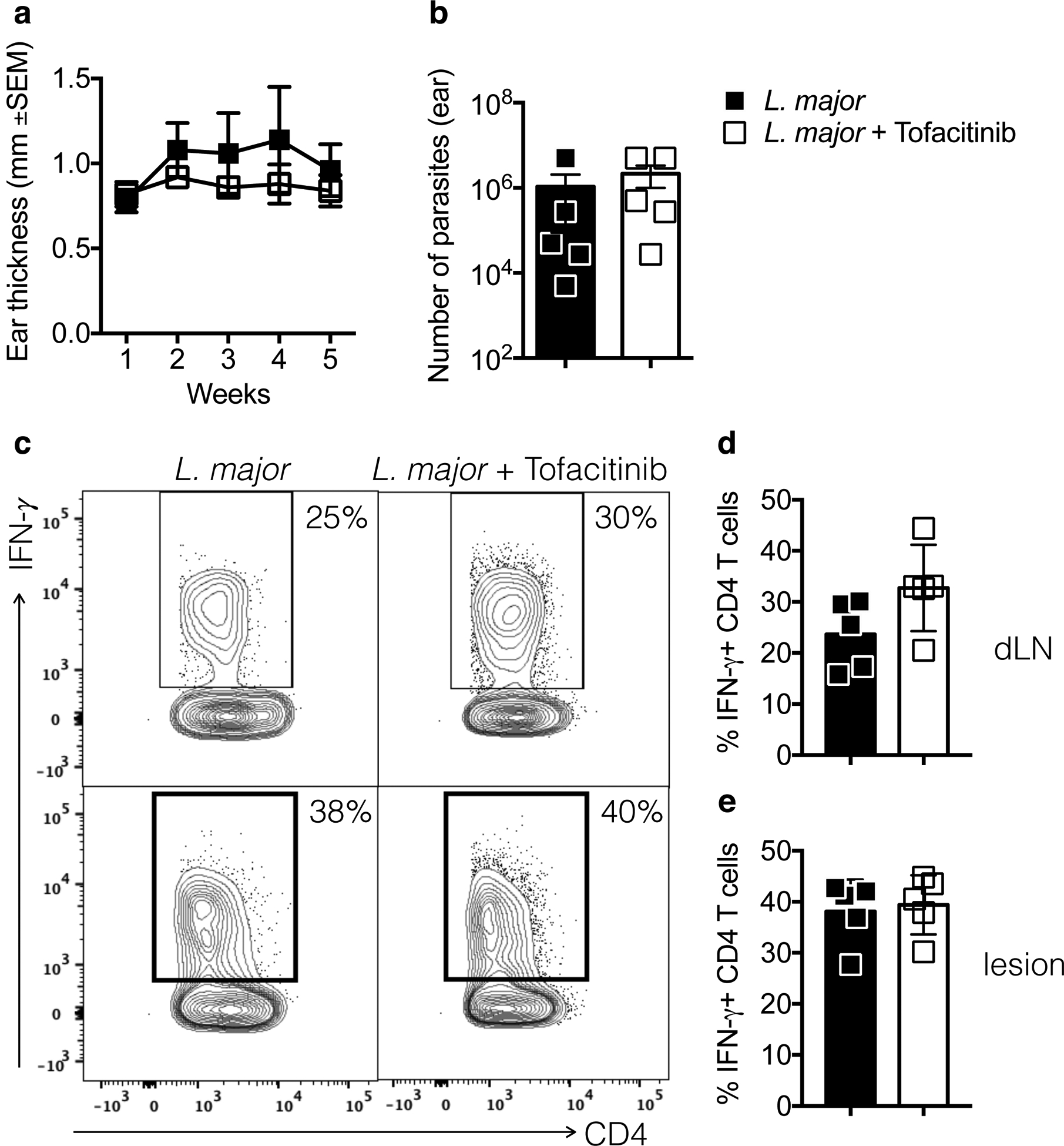 Figure 4: