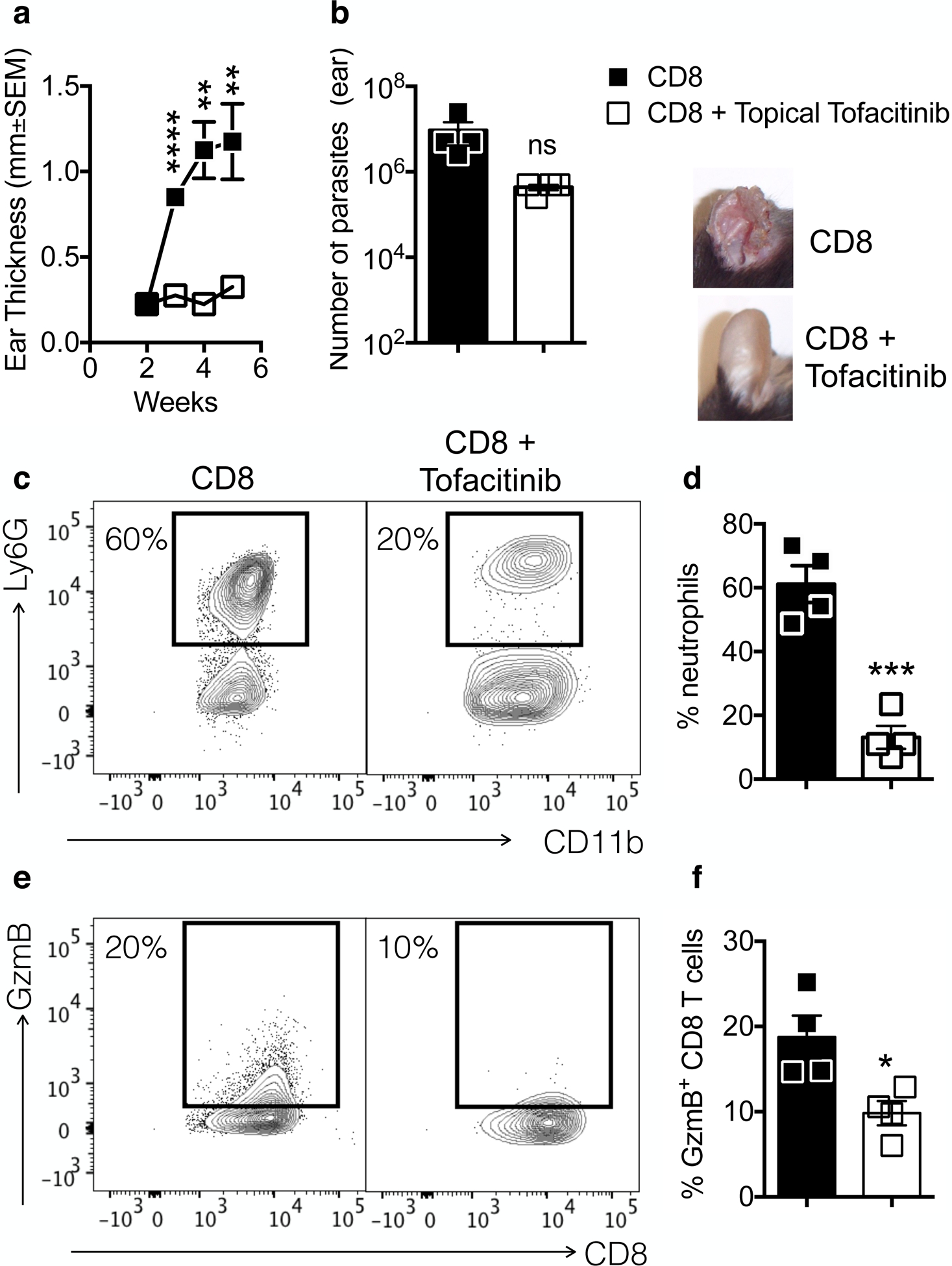 Figure 6: