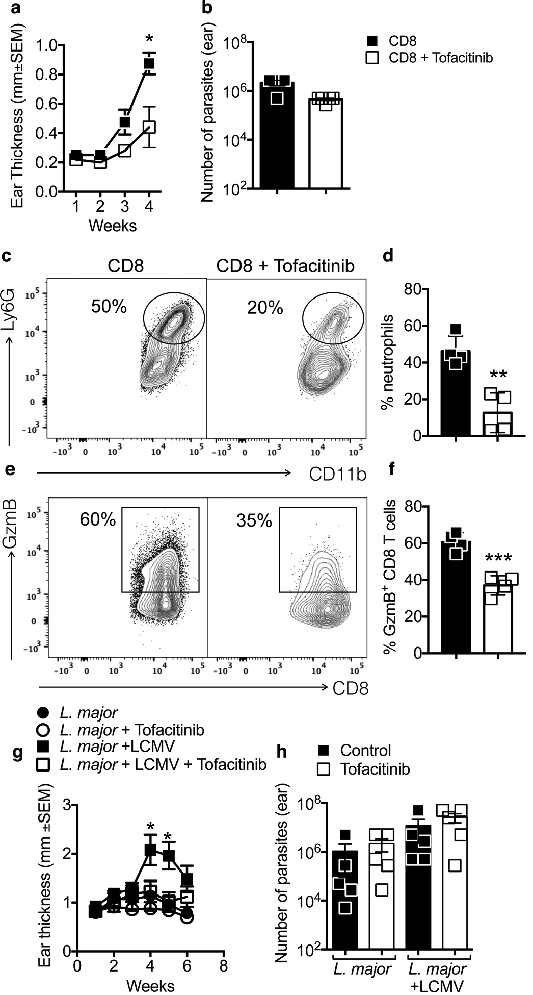 Figure 5: