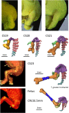 Fig 3
