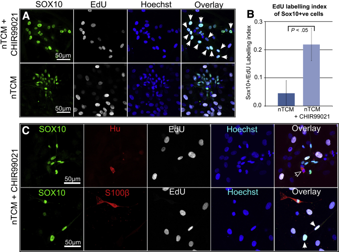 Figure 4