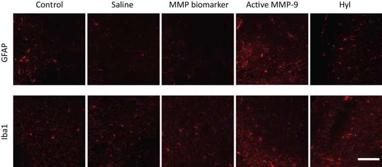 Figure 3—figure supplement 1.