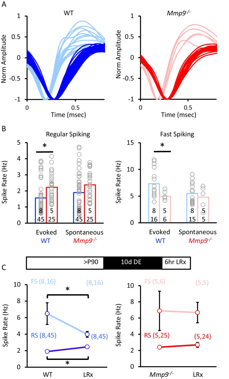 Figure 5—figure supplement 1.