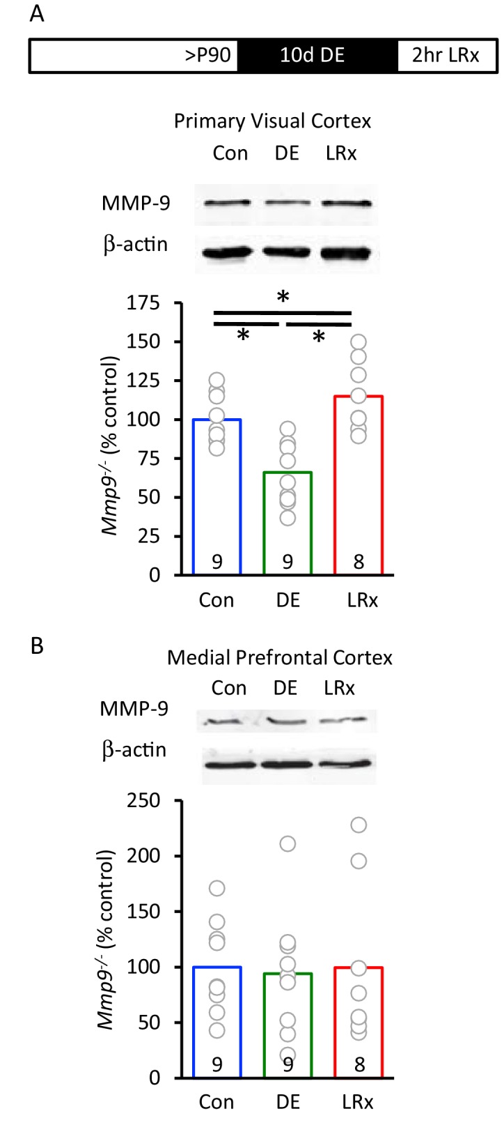 Figure 2—figure supplement 1.