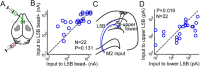Figure 10.