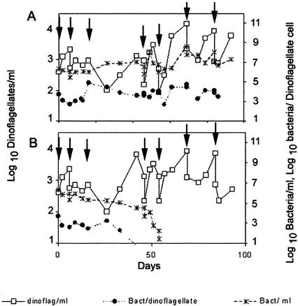 FIG. 1.