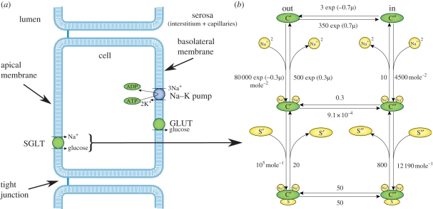 Figure 1.