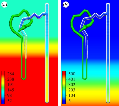 Figure 5.