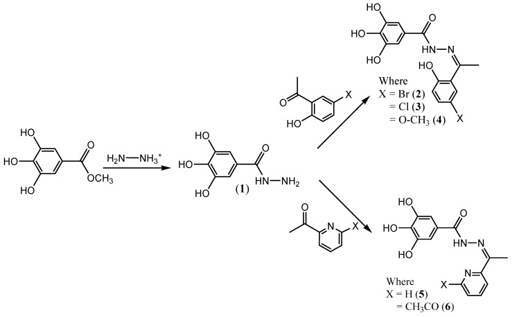 Scheme 1