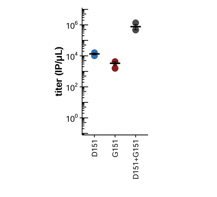 Figure 2—figure supplement 1.