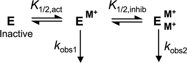 SCHEME 1.