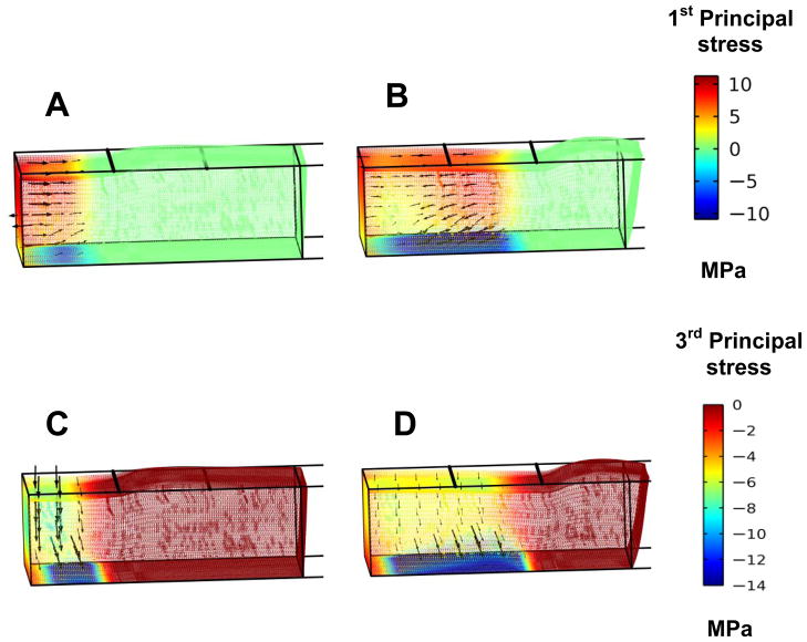 Fig. 9