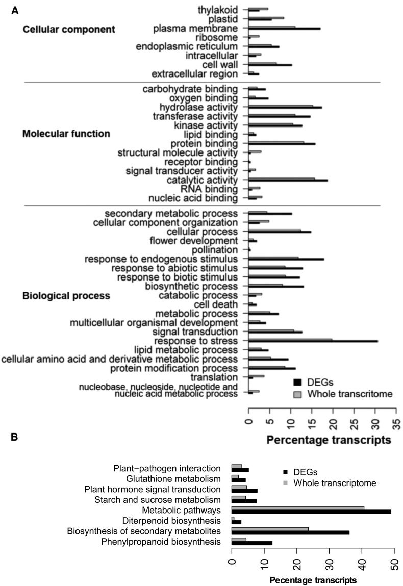 Fig. 3.—