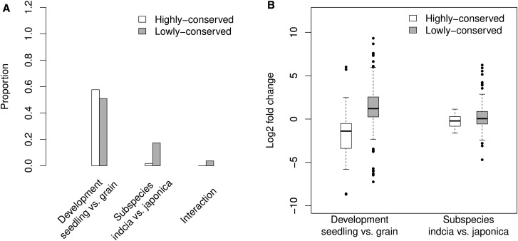 Fig. 2.—