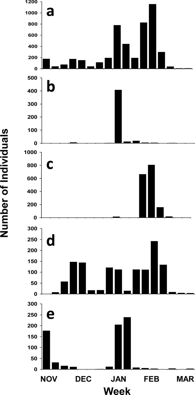 Fig 3