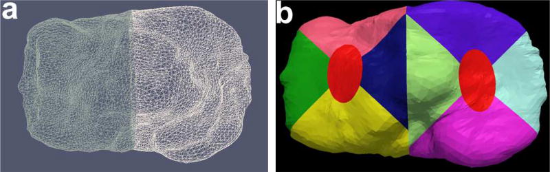 Fig. 12