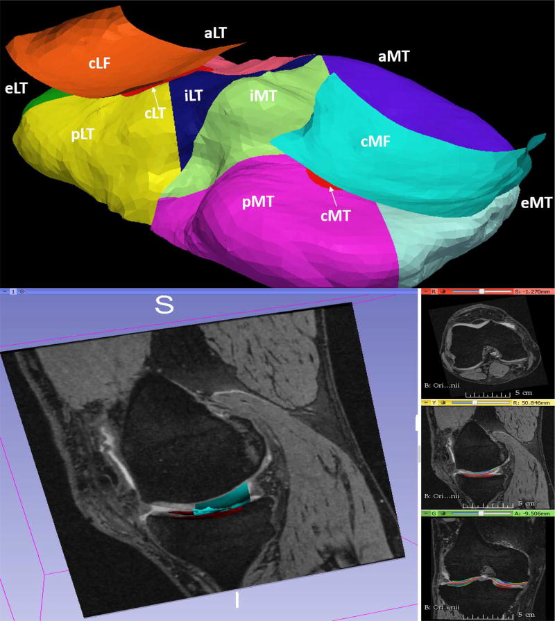 Fig. 13