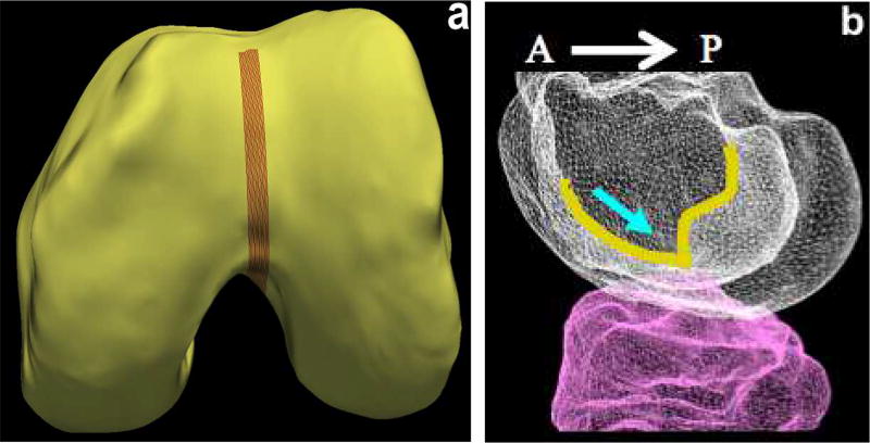 Fig. 10