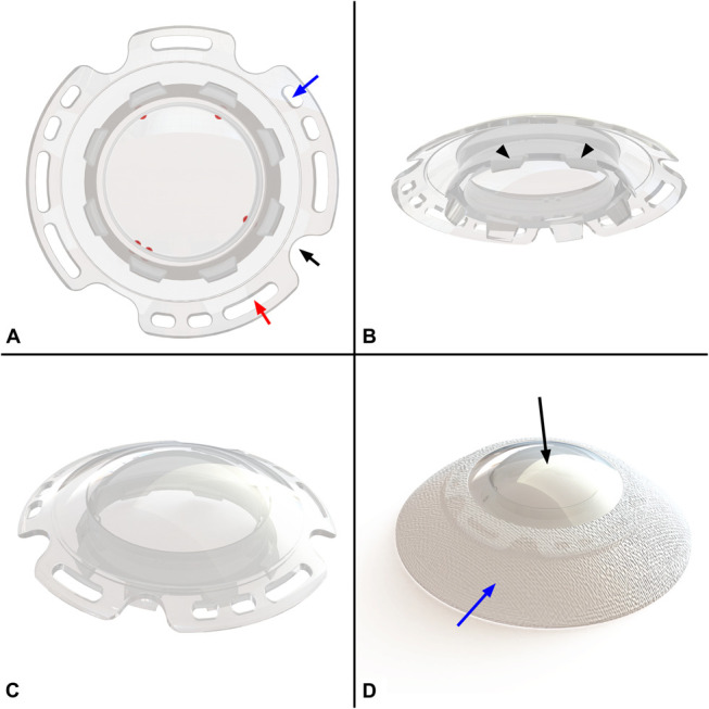 FIGURE 1.