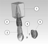 Figure 2. . CAD model assembly: (1) Alveolar bone, (2) Periodontal ligament, (3) Tooth, (4) Composite attachments, and (5) Plastic aligner.