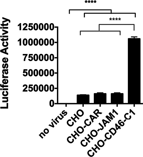 FIG 3