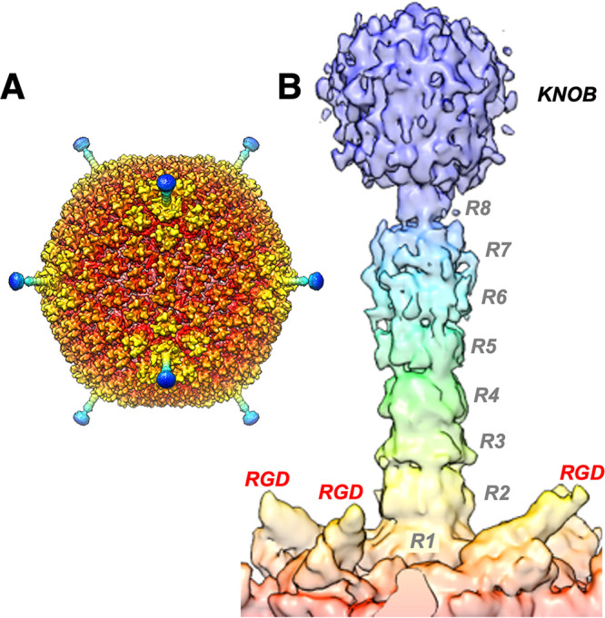 FIG 1