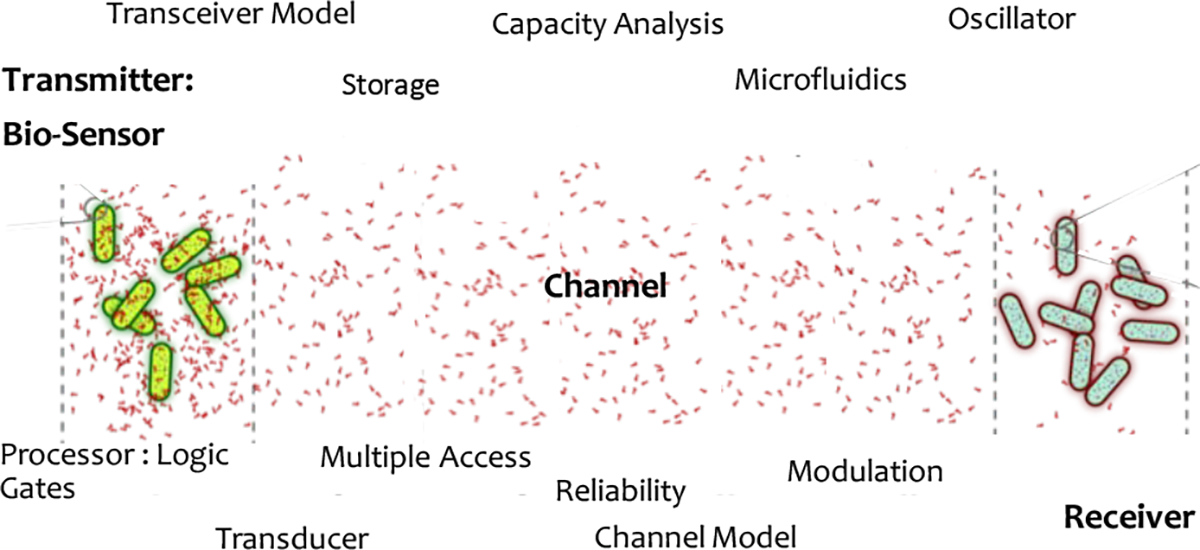 Figure 1: