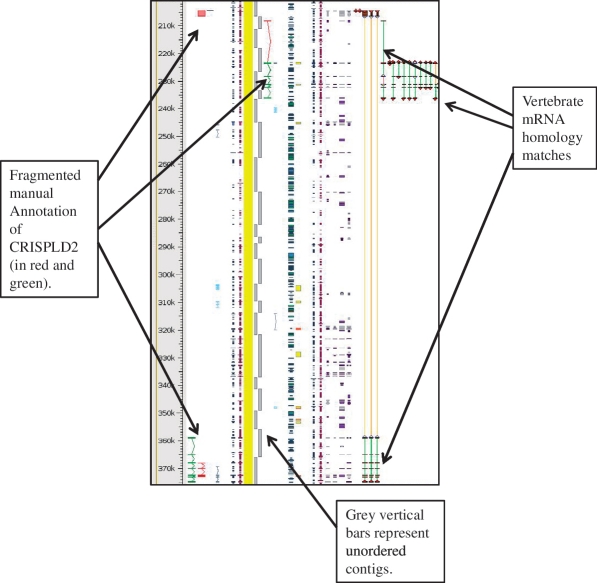 Figure 4.