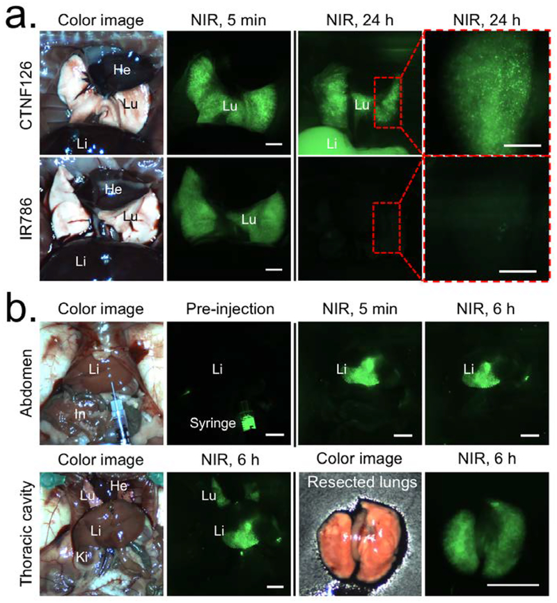 Figure 3.