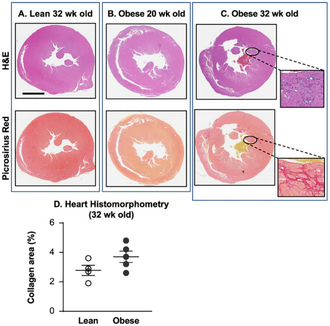 Fig 4