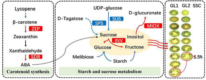 FIGURE 10