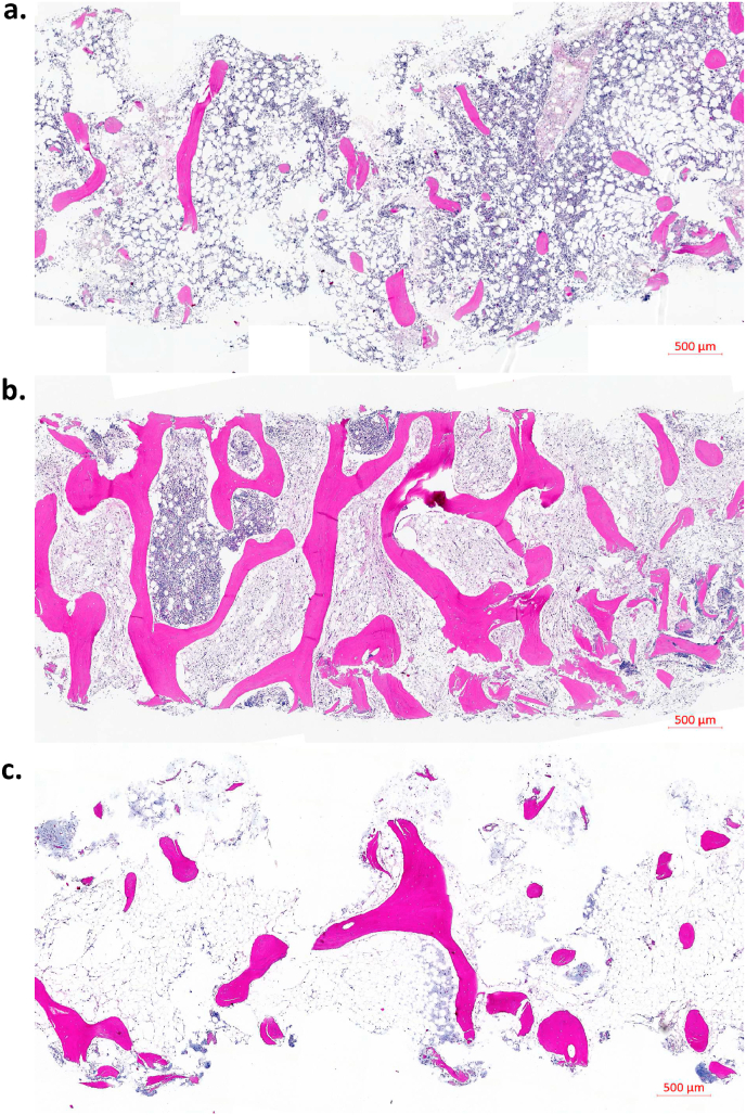 Fig. 2