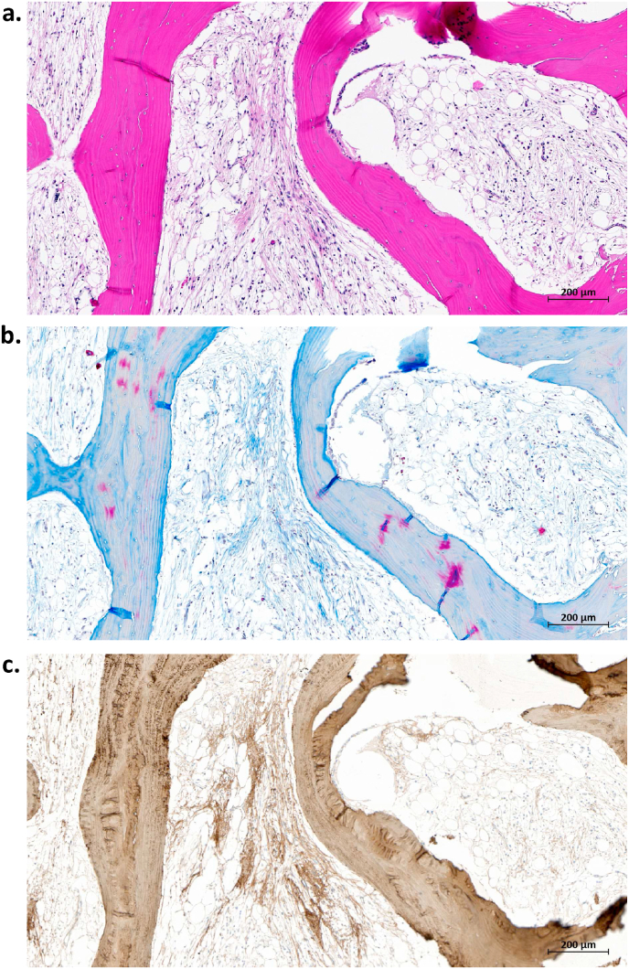 Fig. 3