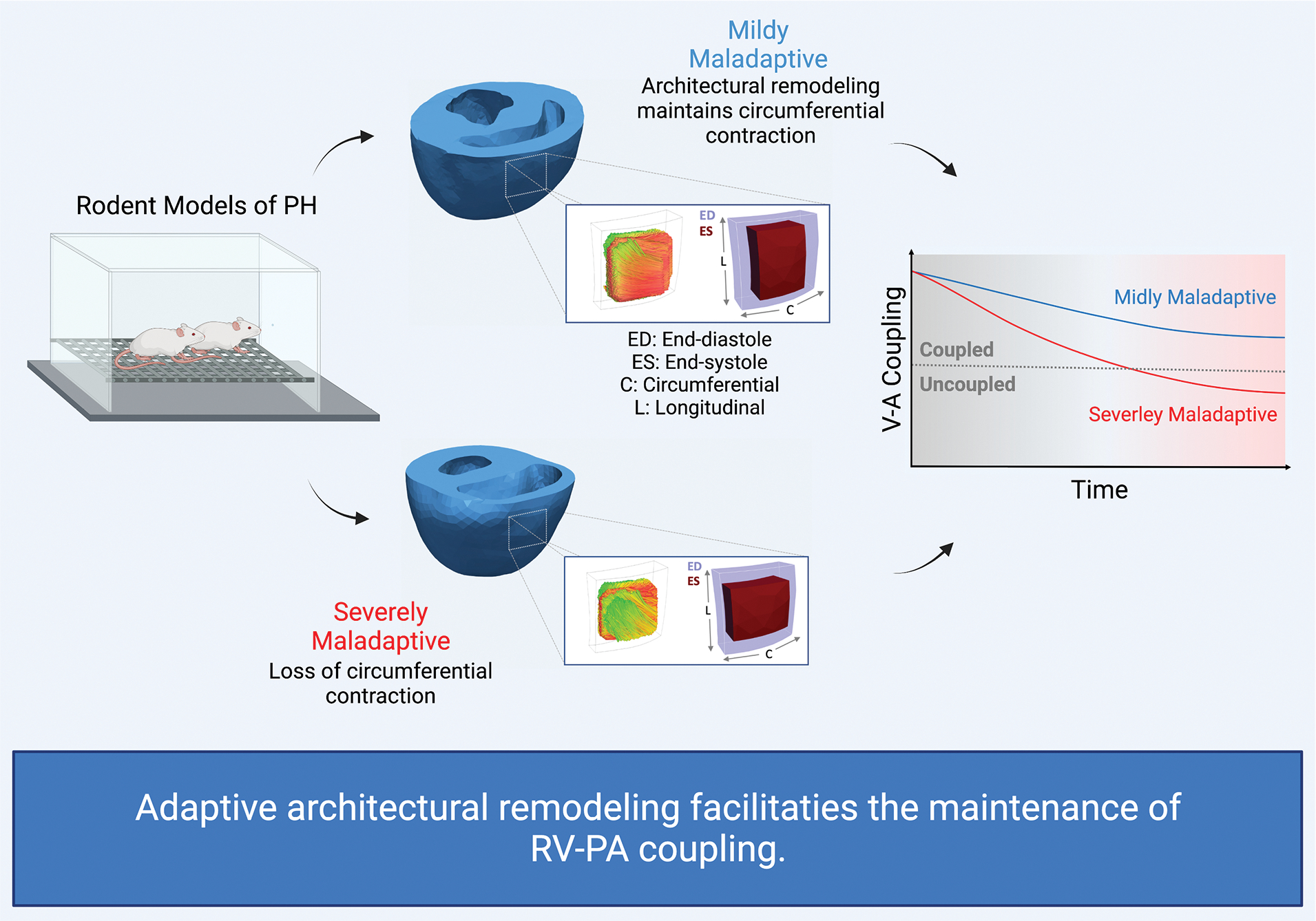 Fig 6: