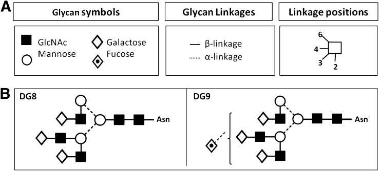 FIG. 1.