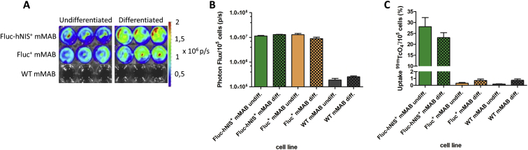 Figure 3