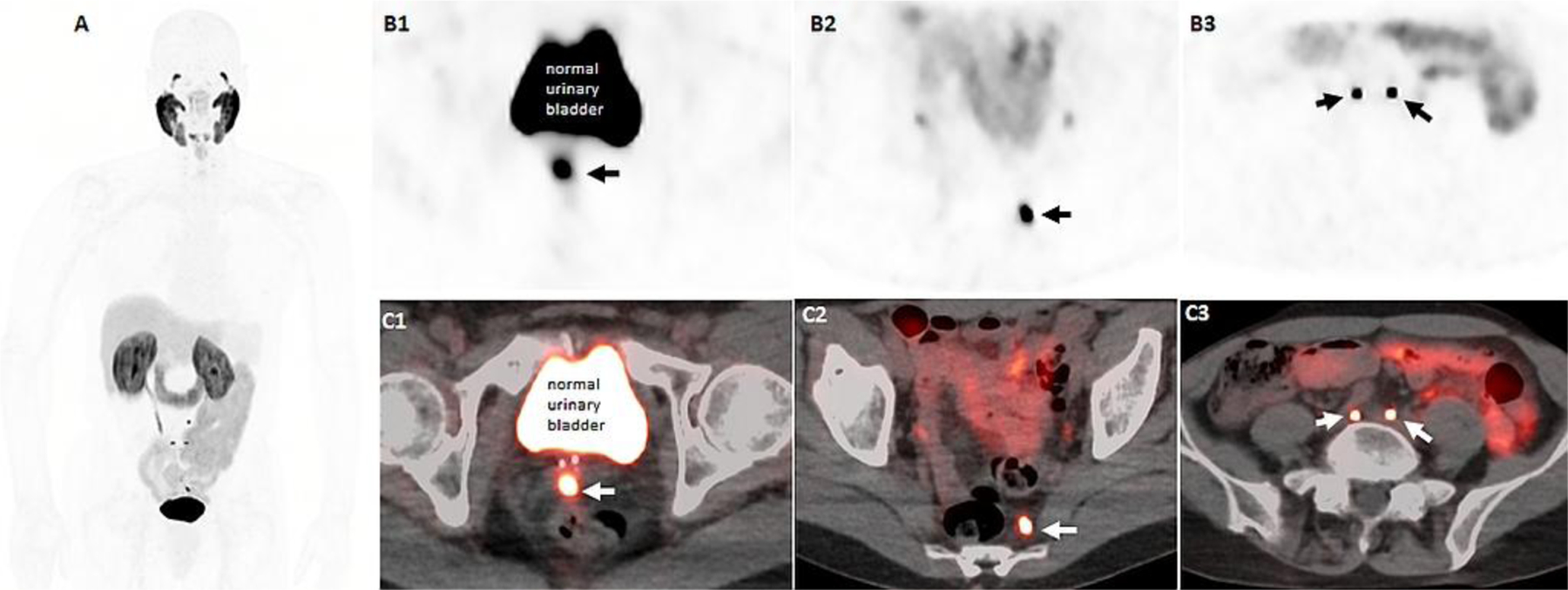 Figure 4: