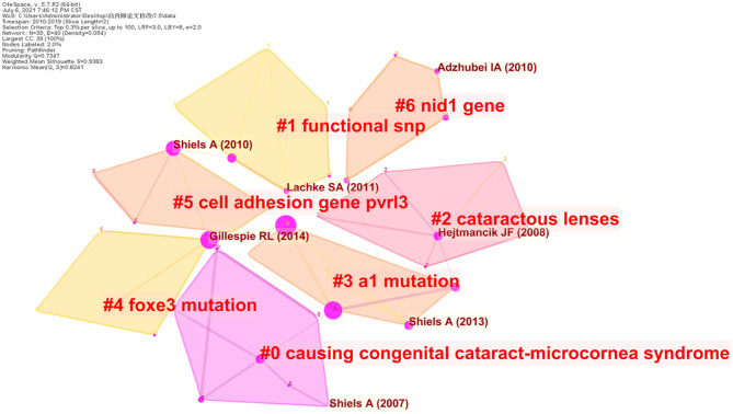 Figure 7