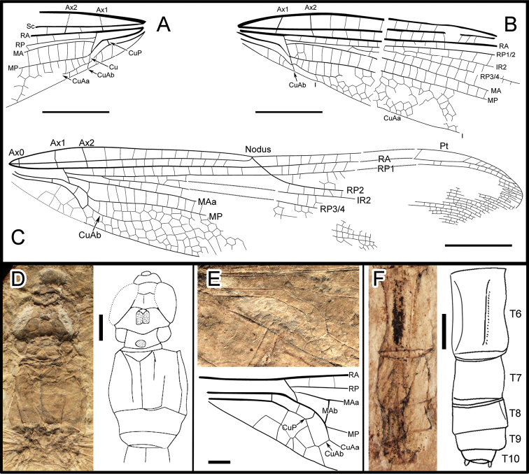 Figure 2.