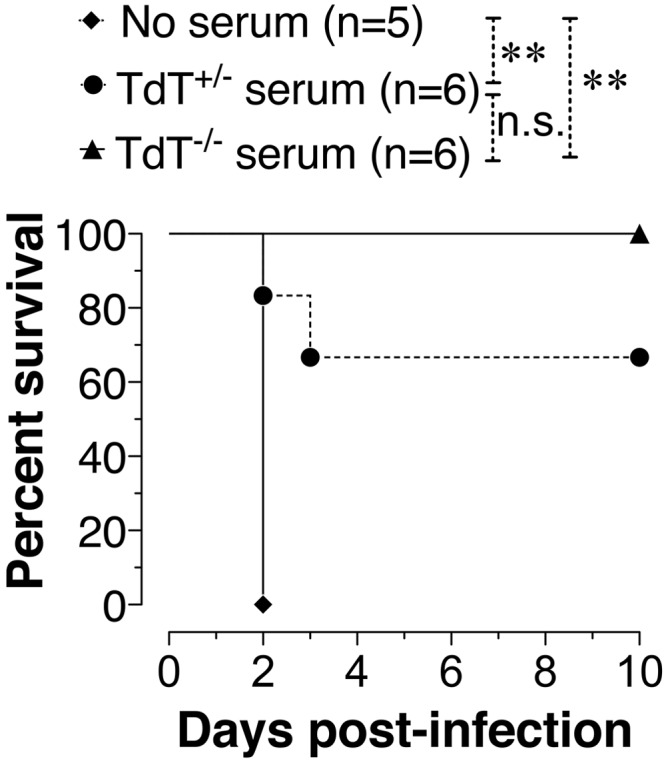 FIG 3