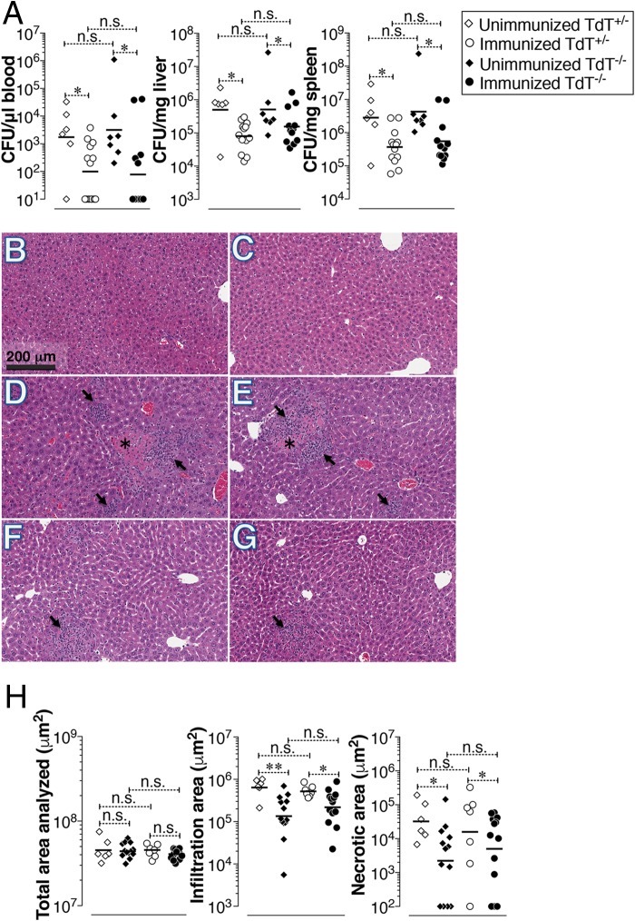 FIG 6