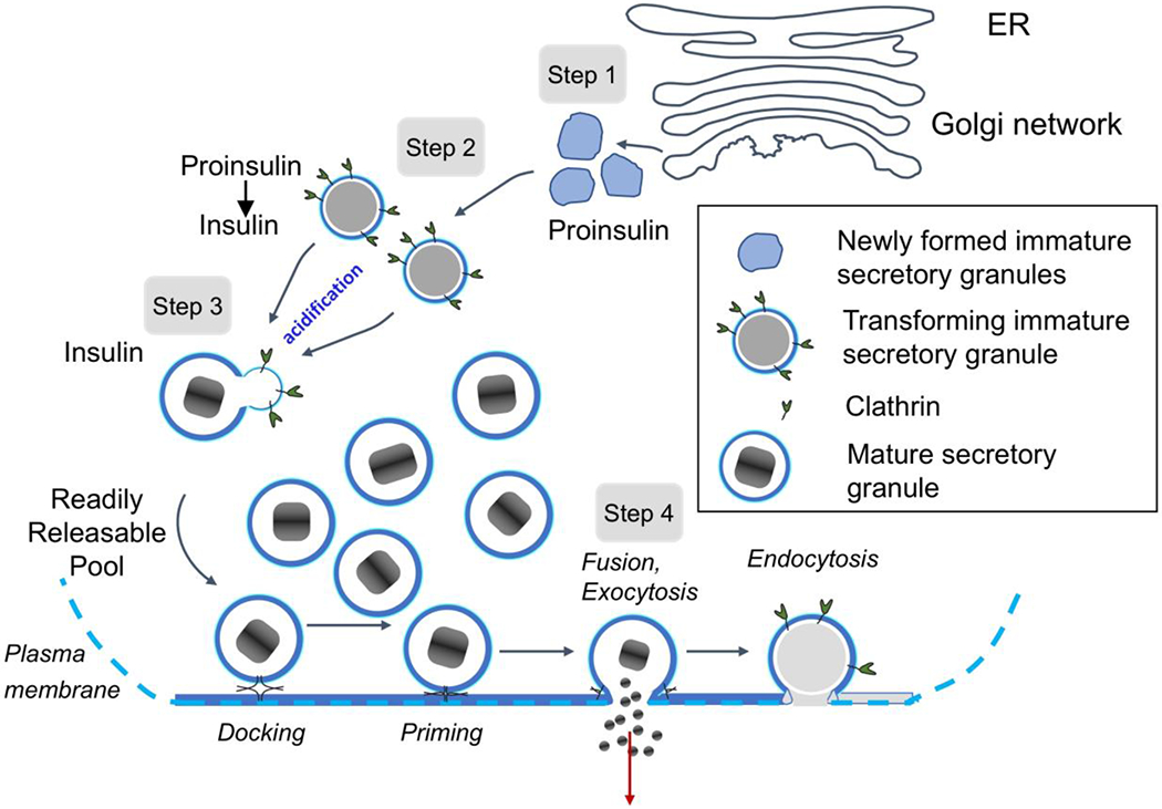 Figure 5.