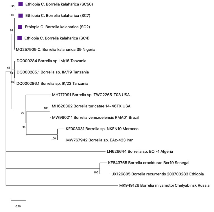 Figure 7