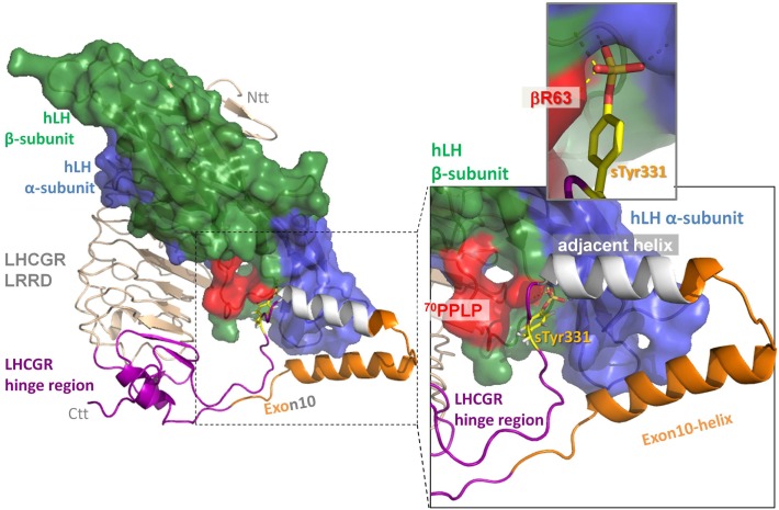 Figure 4