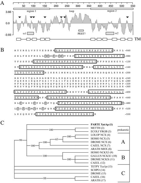 Fig 2.